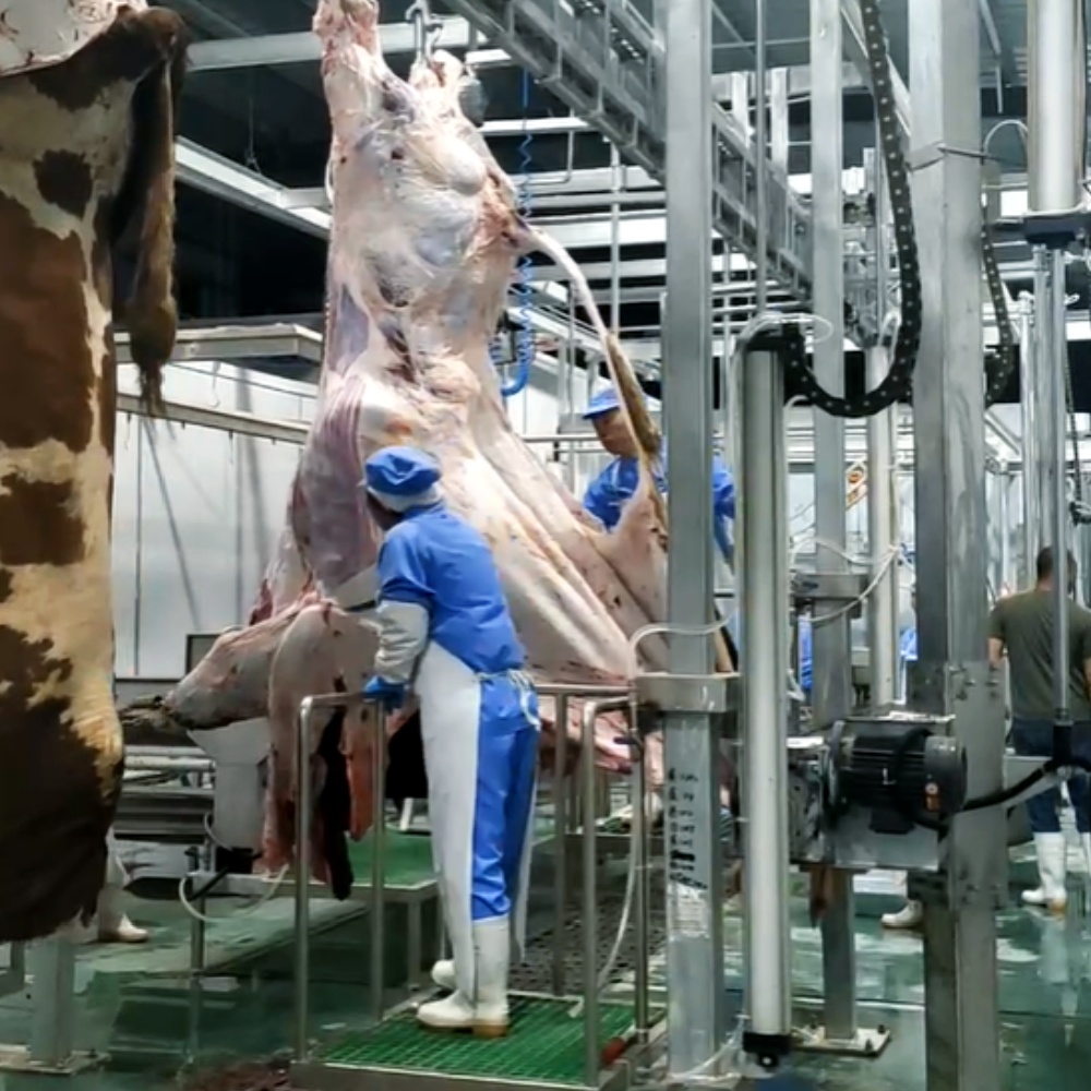 Extractor de pieles de ganado de alta eficiencia | Equipos de línea de sacrificio - Henger Manufacturing