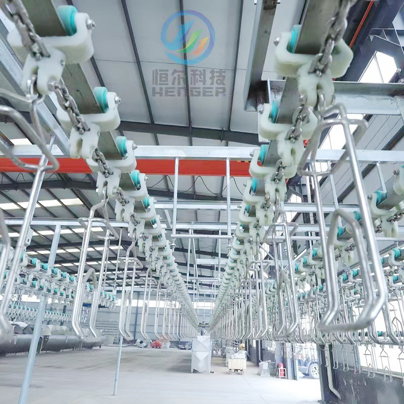 Equipo automático para sacrificio de pollos - Línea de sacrificio de aves para planta de procesamiento