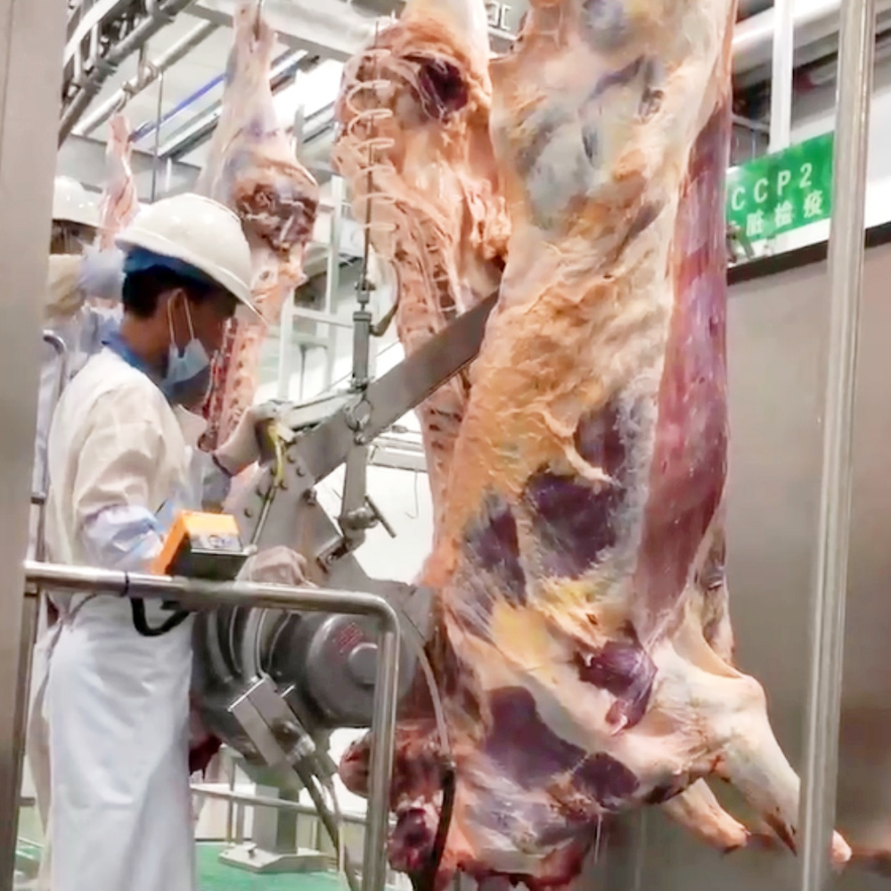 Industria cárnica 5.0: cómo los equipos de matadero inteligentes están remodelando el procesamiento en 2026
