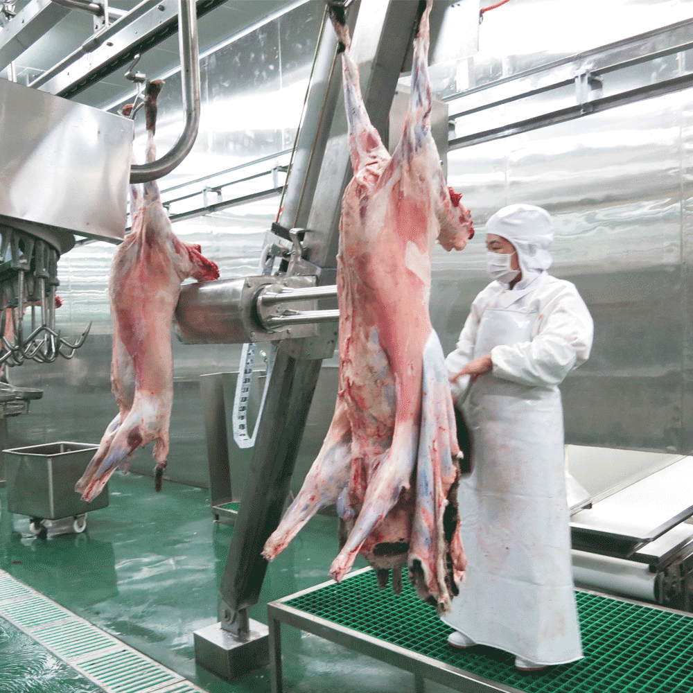Equipos para el sacrificio de ovejas y cabras: la guía operativa completa para el flujo de procesos, la selección de equipos y el cumplimiento de Halal en 2026
