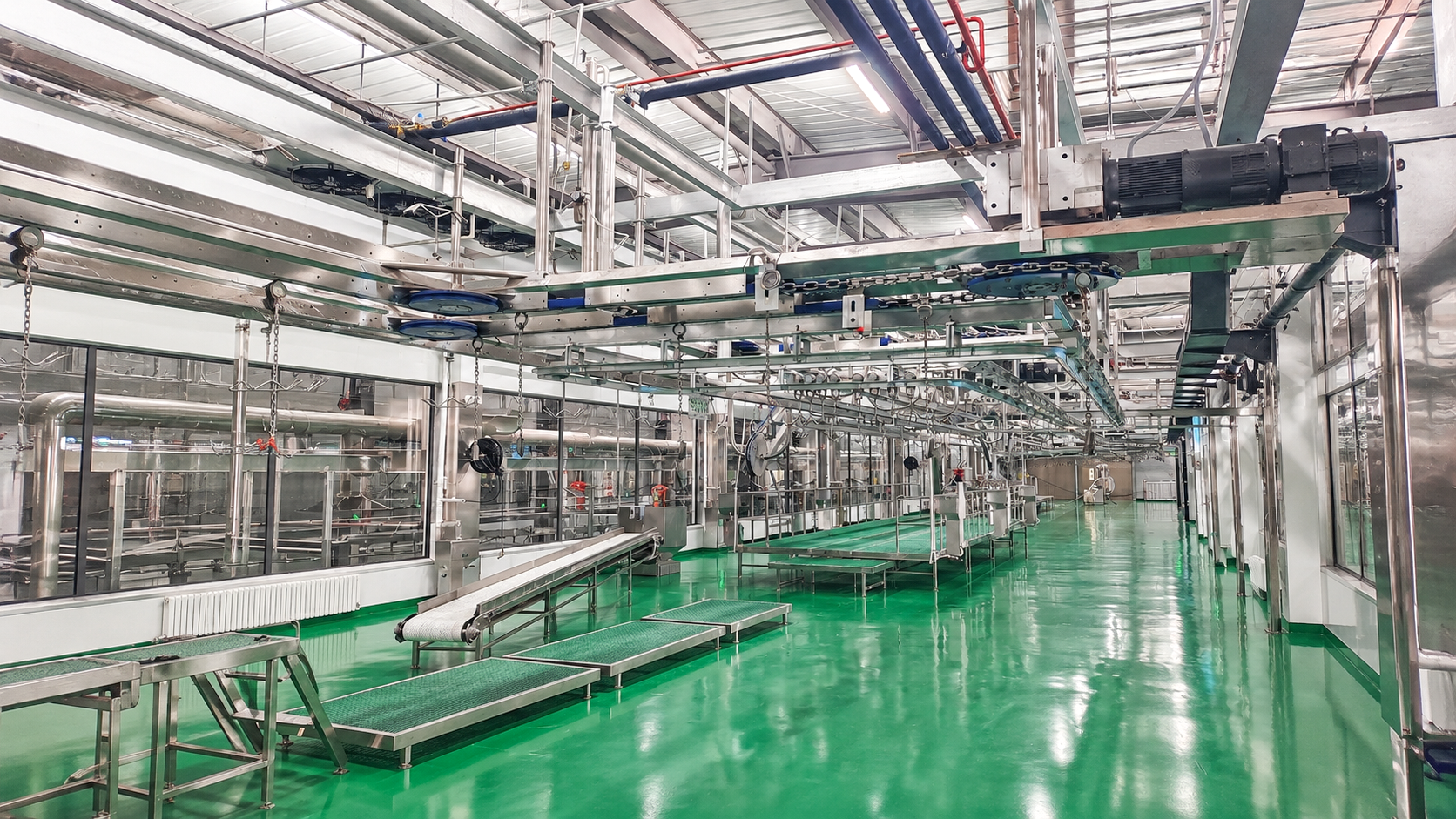 Línea de sacrificio automático comercial de ganado y diseño del matadero - SD Henger Group
