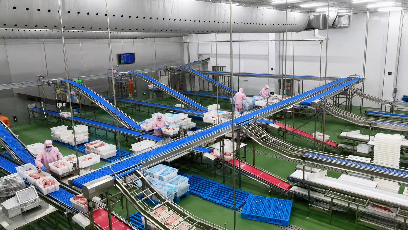 alimentaria Vista general Transportador para cortar y deshuesar carne de calidad 